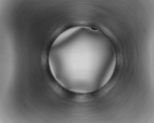 X0000113290072200910051109