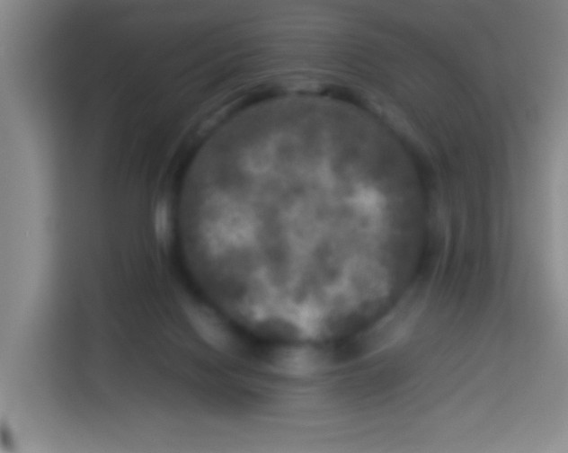 X0000113290074200910051109