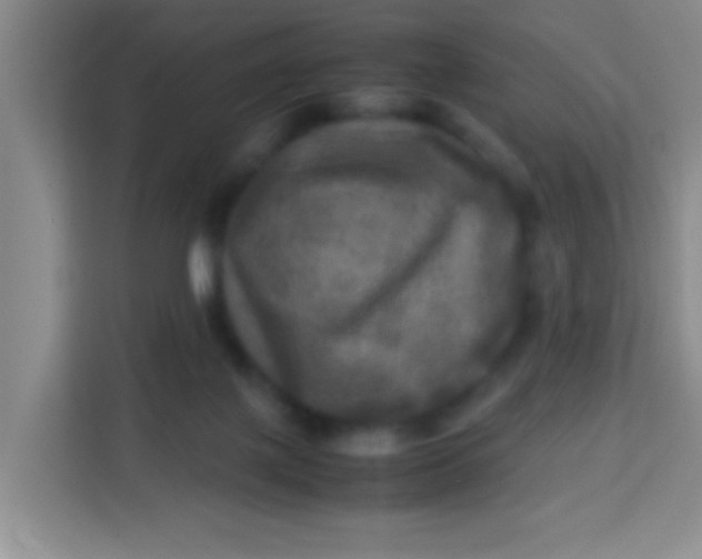 X0000113290075200910051109
