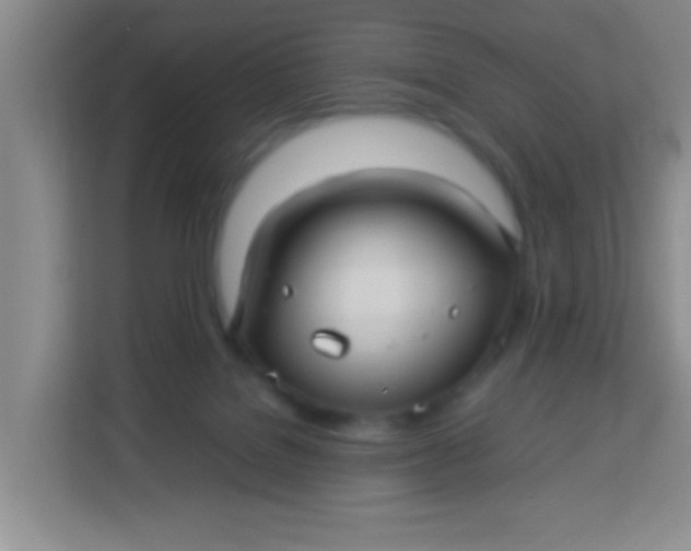 X0000113290076200910051109