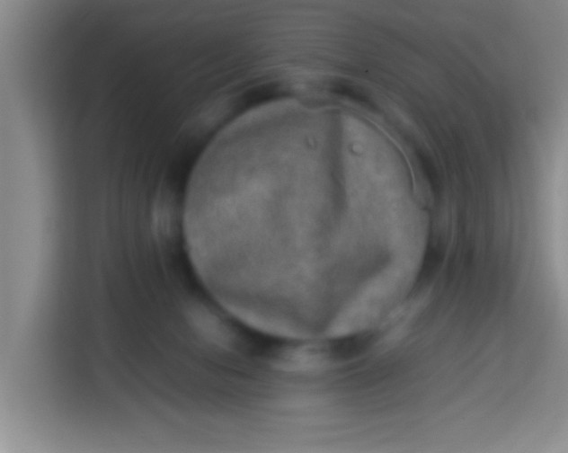 X0000113290078200910051109