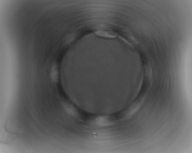 X0000113290080200910051109