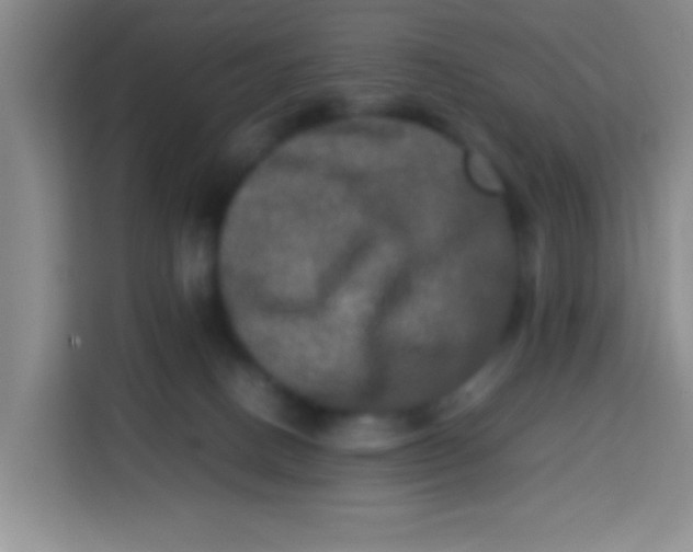 X0000113290082200910051109