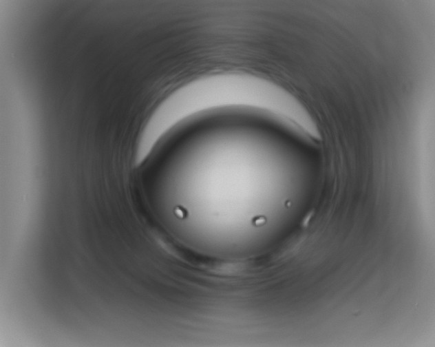 X0000113290084200910051109