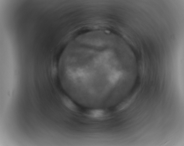 X0000113290085200910051109
