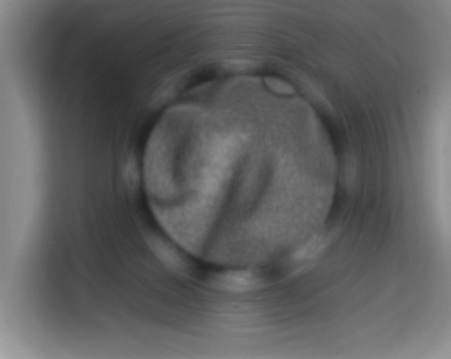 X0000113290086200910051109