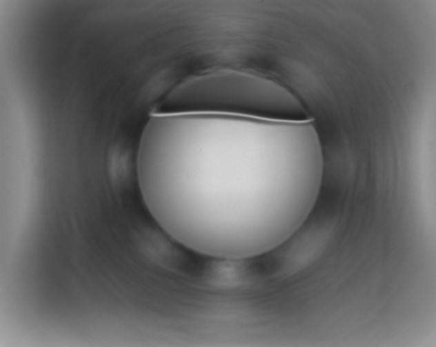 X0000113290088200910051109