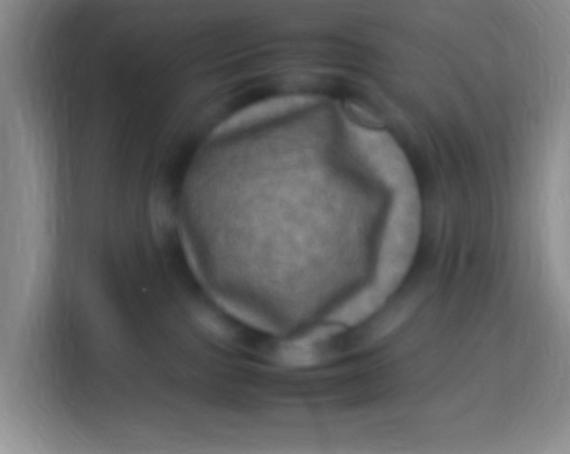 X0000113290091200910051109