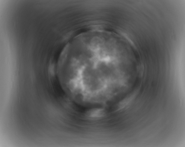 X0000113290093200910051109