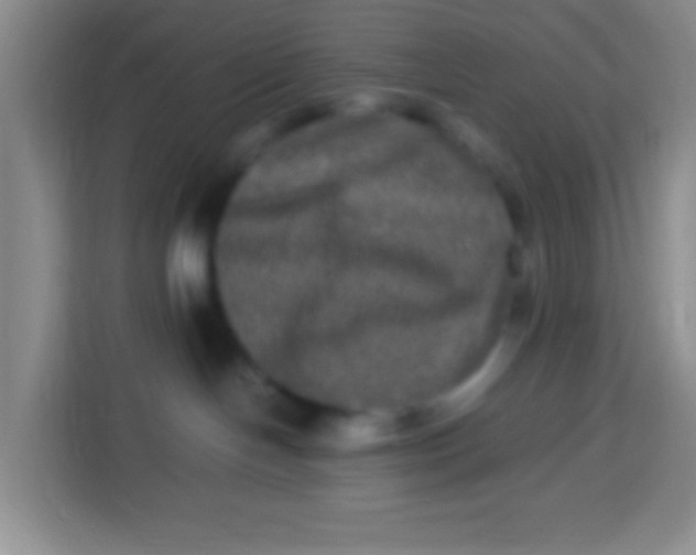 X0000113290094200910051109
