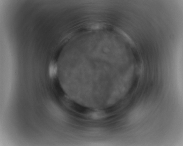 X0000113290095200910051109