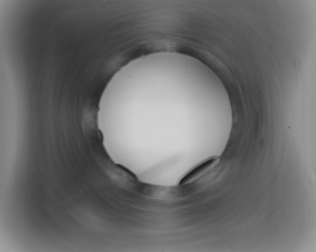 X0000113290096200910051109