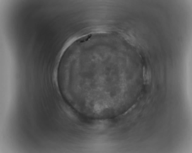 X0000113290099200910051109