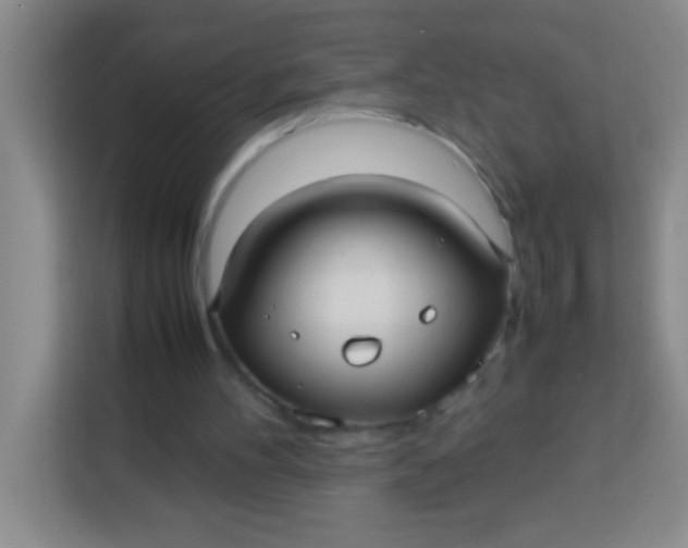 X0000113290100200910051109