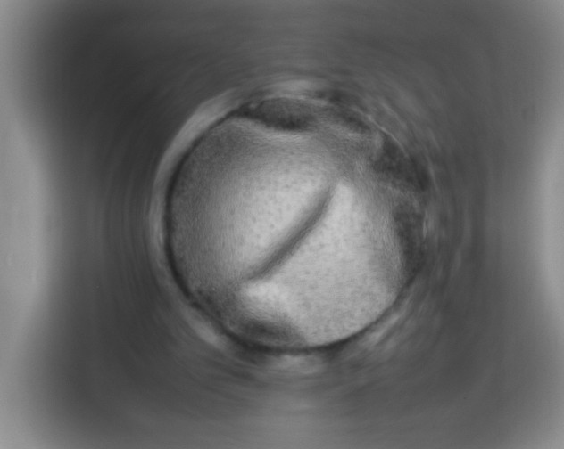 X0000113290101200910051109