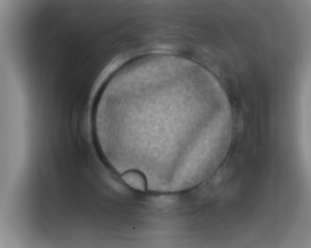 X0000113290102200910051109