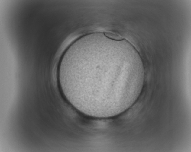 X0000113290103200910051109