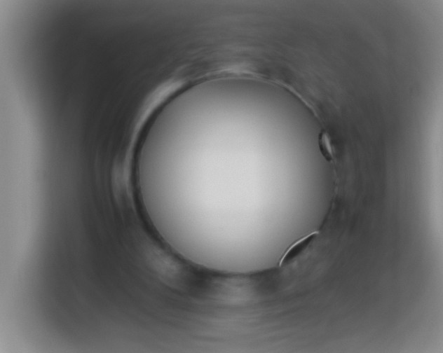 X0000113290104200910051109