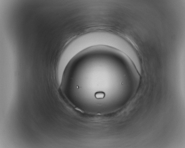 X0000113290105200910051109