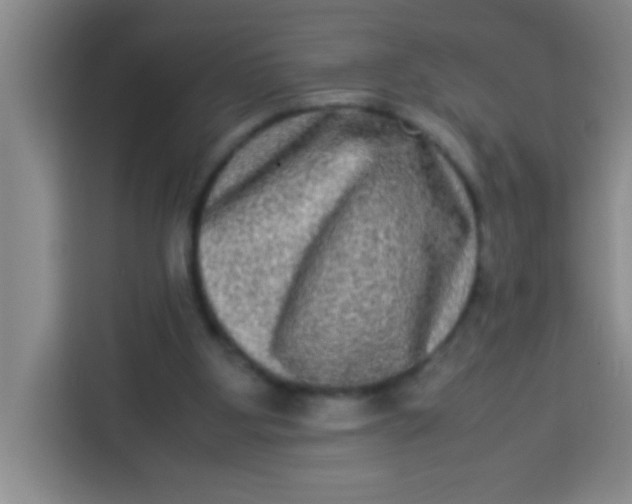 X0000113290107200910051108