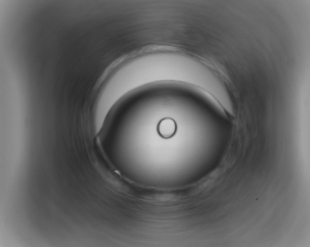 X0000113290108200910051108