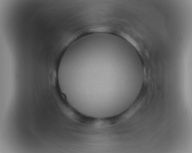 X0000113290109200910051108