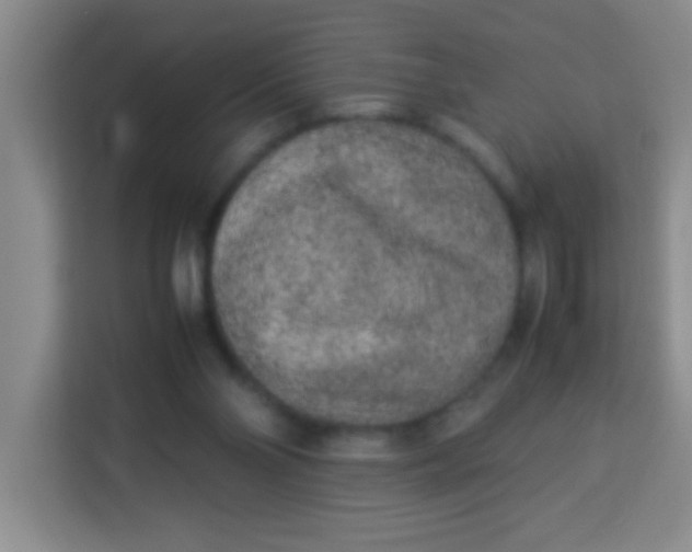 X0000113290110200910051108