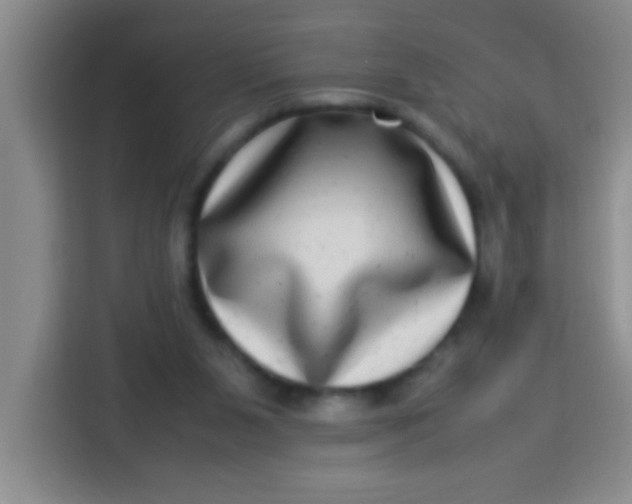 X0000113290111200910051108