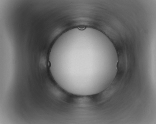 X0000113290112200910051108