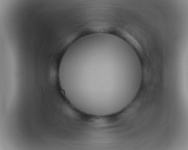 X0000113290113200910051108