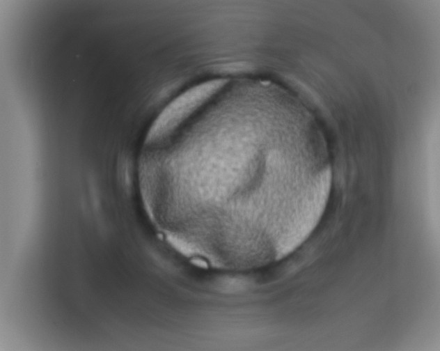 X0000113290115200910051108