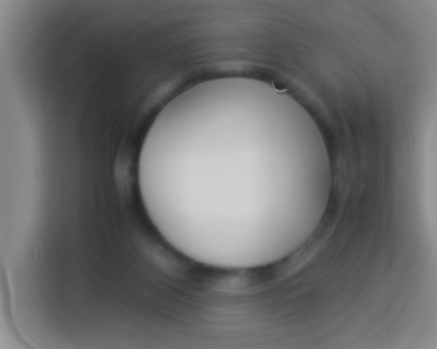 X0000113290116200910051108