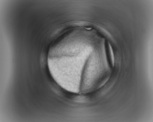 X0000113290119200910051108