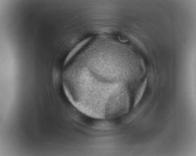 X0000113290123200910051108
