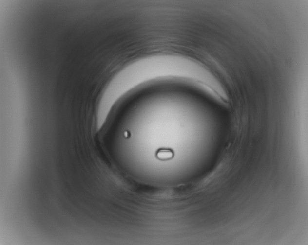X0000113290124200910051108