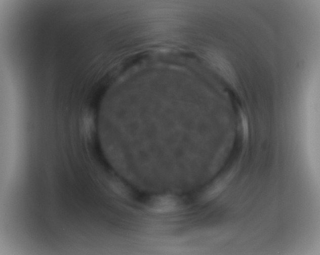 X0000113290127200910051108