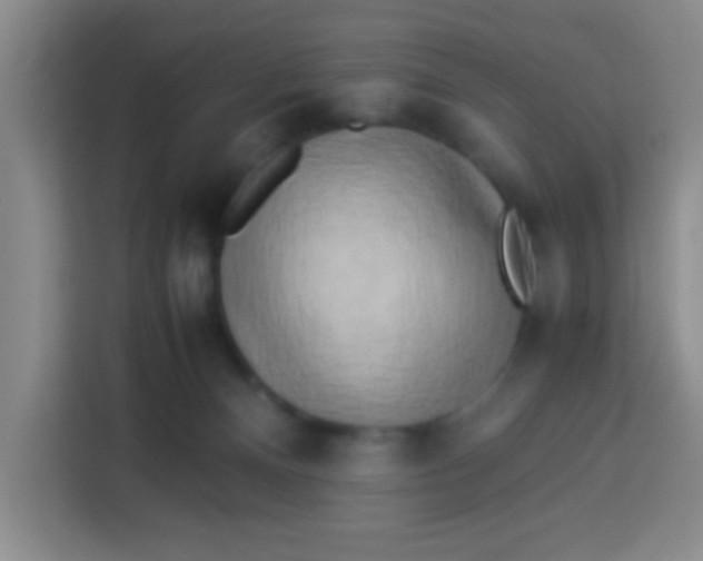 X0000113290128200910051108