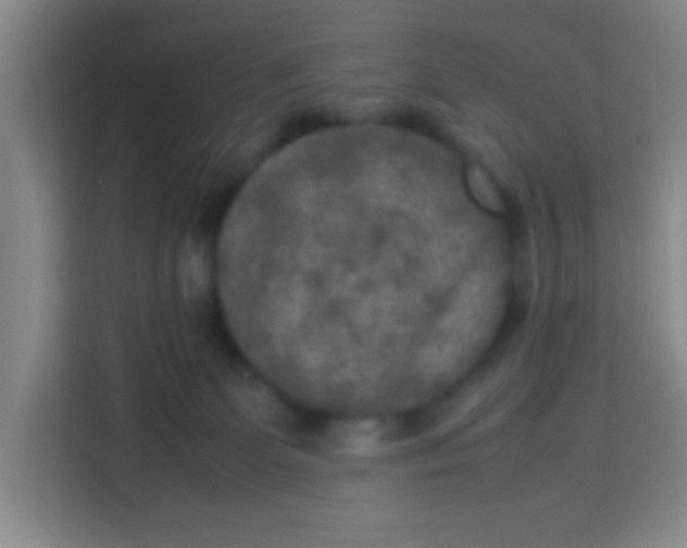 X0000113290131200910051108
