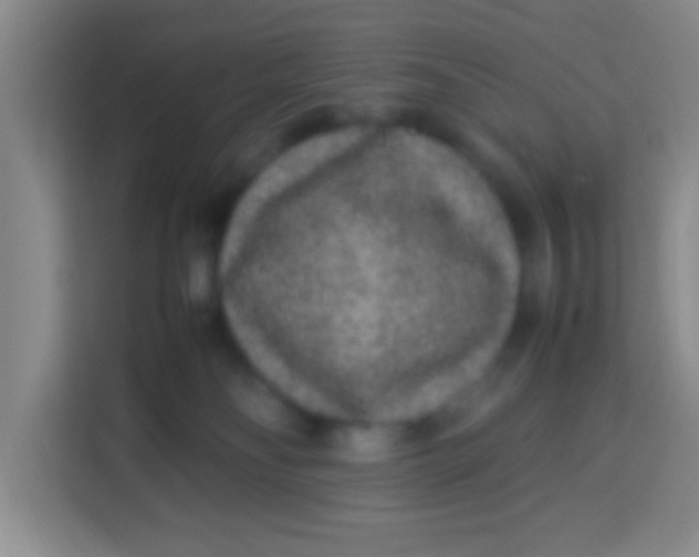X0000113290134200910051108
