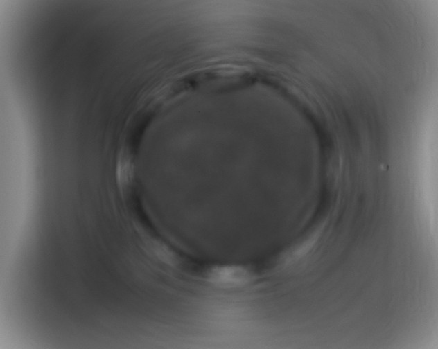 X0000113290137200910051108