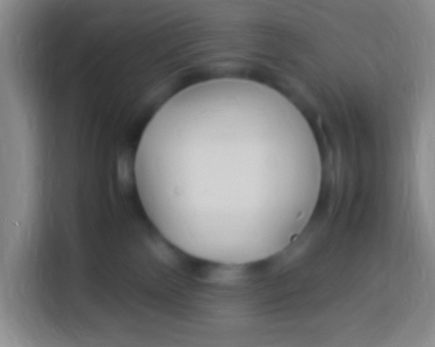 X0000113290138200910051108