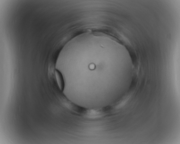 X0000113290141200910051108