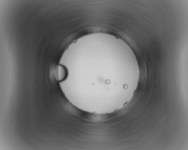 X0000113290142200910051108