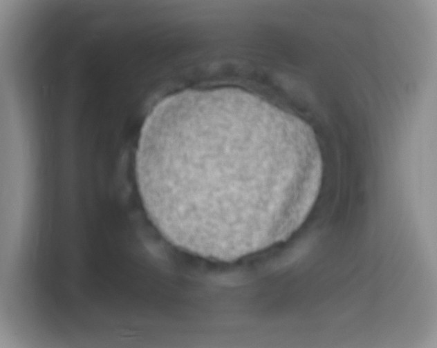 X0000113290144200910051108