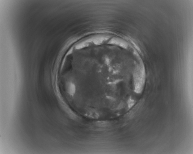 X0000113290145200910051107