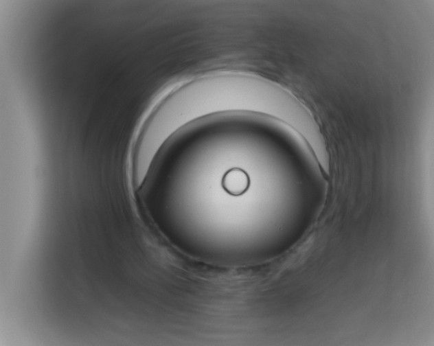 X0000113290148200910051107