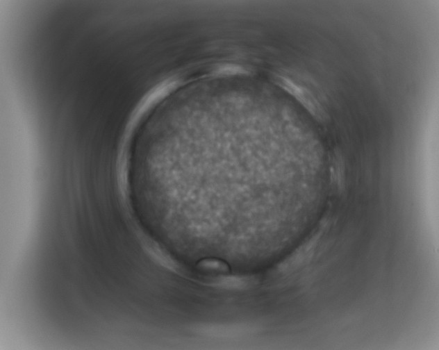 X0000113290149200910051107