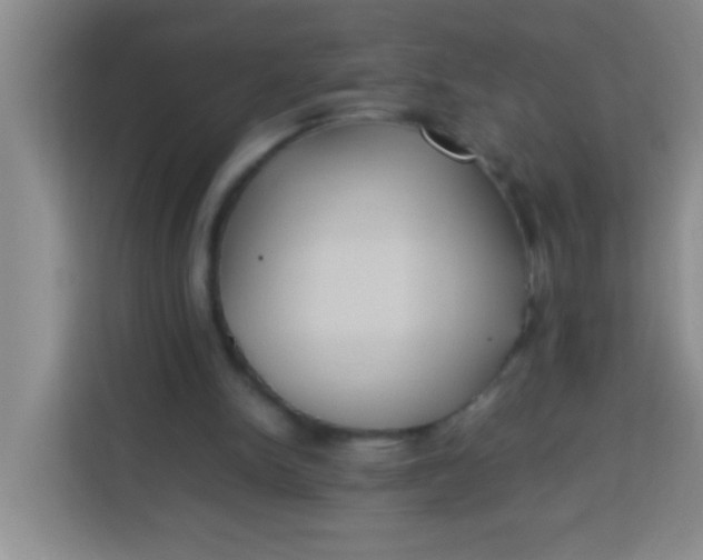 X0000113290150200910051107