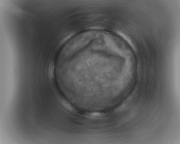 X0000113290153200910051107