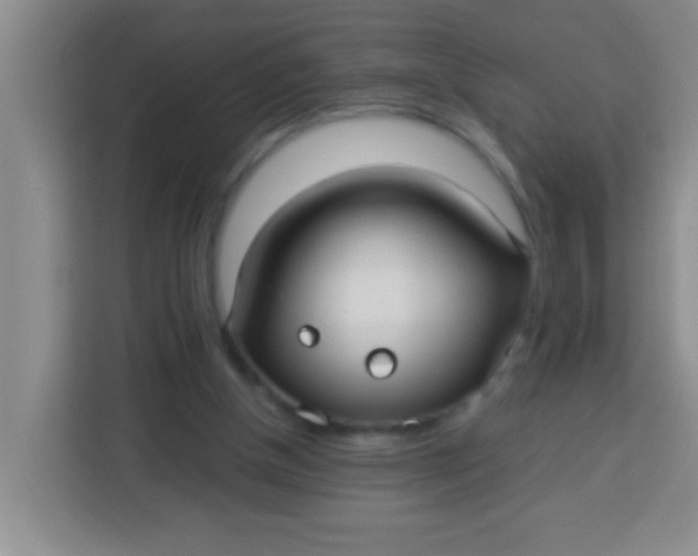 X0000113290154200910051107